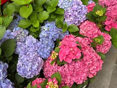 -黔蘑菇四季餐厅(观山湖店)