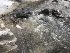 -香炉山国家森林公园