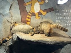 -Zoolung Zoolung动物主题公园(海信广场店)