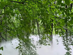 -帽儿山风景区