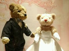 -济州岛泰迪熊博物馆