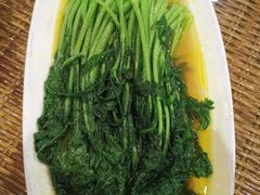 时蔬-广信传说