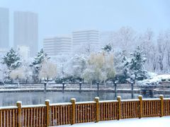 -山东大学(威海校区)