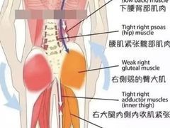 -锐动健身游泳(博地中心店)