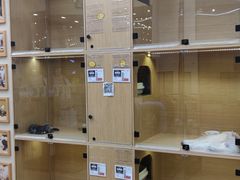 -袖虎猫馆(十亩地店)