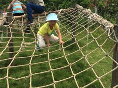 -武汉紫薇都市田园