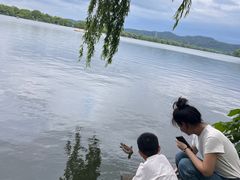 -中国茶叶博物馆(双峰馆区)