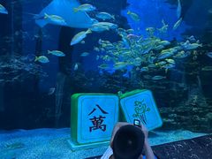 -海合安成都极地海洋公园