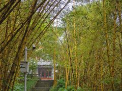 -水濂山森林公园