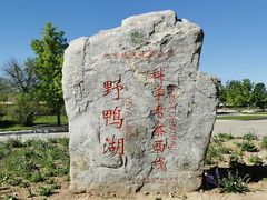 -野鸭湖国家湿地公园