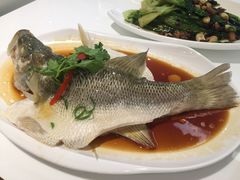 -至潮餐厅精致粤菜·活鲈鱼·走地鸡(珠江新城店)