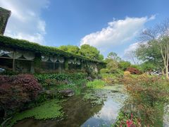 -中国茶叶博物馆(双峰馆区)