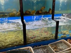 -老东镇啤酒屋海鲜加工·蒸汽海鲜·海鲜烧烤(台东店)