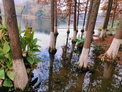-重庆彩云湖湿地公园