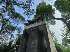 -青龙山国家森林公园