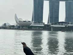 -新加坡文华东方酒店