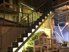 -喵屿·大理花园猫咖