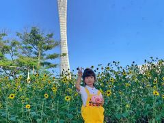 -二沙岛艺术公园