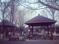 景观位-那家山城(樱桃园店)