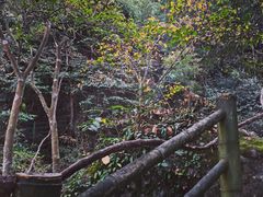 -周洛大峡谷