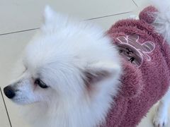 -怪兽屋·羊驼·猫咖·狗咖(俊华广场店)