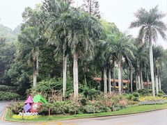 -深圳仙湖植物园