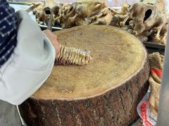 -正宗忘不了老鹅(梅岭店)