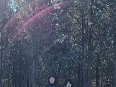 -白水寺森林公园