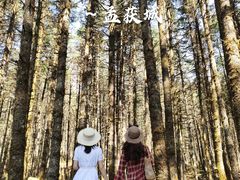 -石棉县孟获城