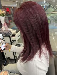 -藤野造型
