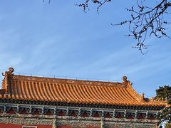 -北陵公园