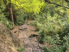 -青芝山风景名胜区