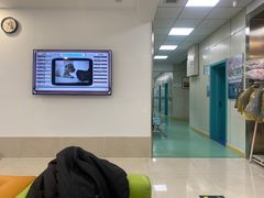 -北京观赏动物医院·24小时大型综合·猫专科·异宠专科