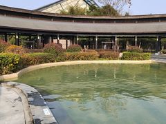 -三江森林温泉度假区