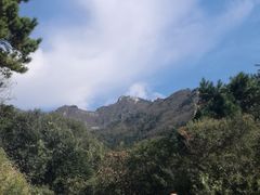 -木兰云雾山