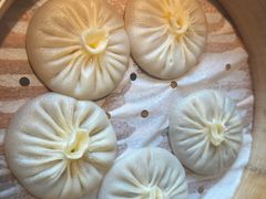 -庆春朴门