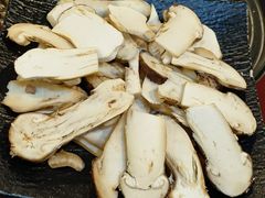 -蘑统田下·野生菌火锅