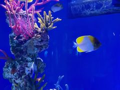 -上海海昌海洋公园