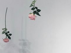-成都失恋馆