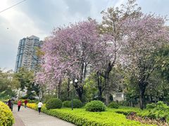 -晓港公园