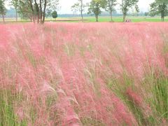 -汉长安城未央宫国家考古遗址公园