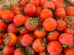 -蒋村酒楼(河渚街店)