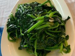 时令蔬菜-农家大院