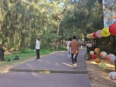 -大京沙滩