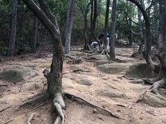 -灵岩山风景区