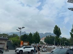 -雾与山茶(大禹城店)