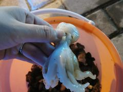 -青岛第三海水浴场