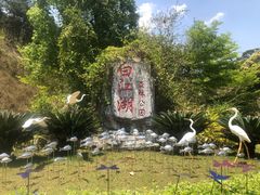 -广州白江湖森林公园