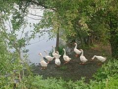 -黄陂区野村谷景区