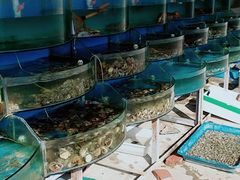 -张会海鲜饭店(东戴河店)